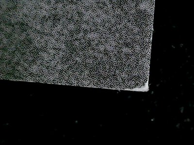 SN37653