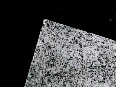 SN37653