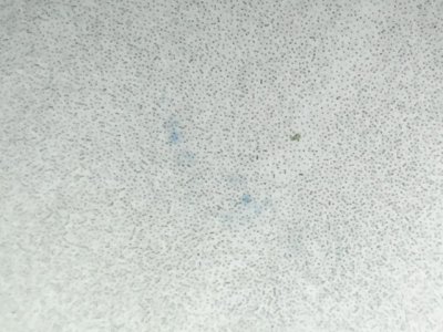 SN37654