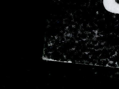 SN37654