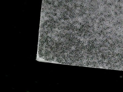 SN37654
