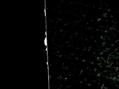 SN37656