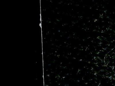 SN37656