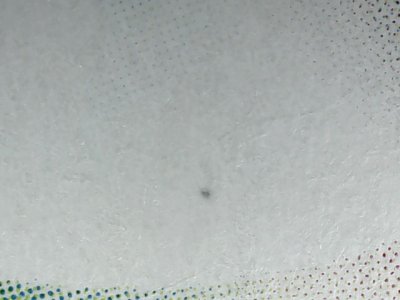 SN37854
