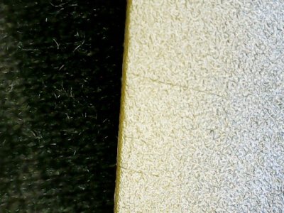 SN31619