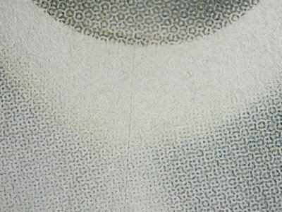 SN31621