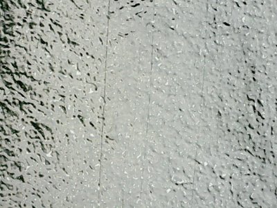 SN32231