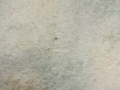 SN32663