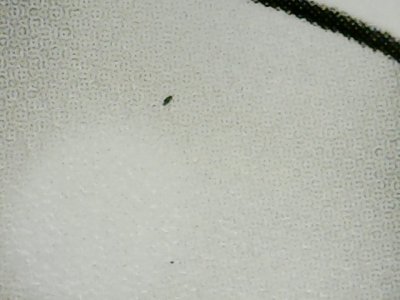 SN32802