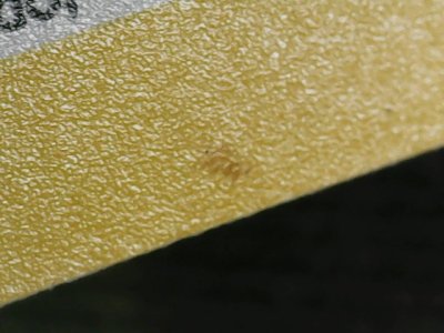 SN33143