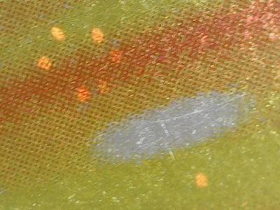 SN33172