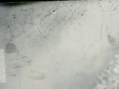 SN33508