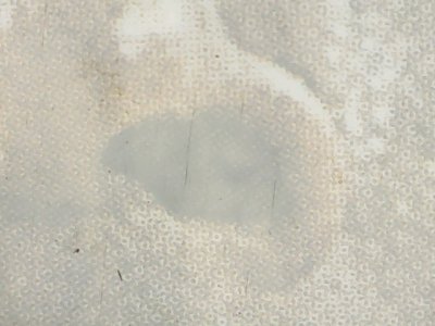 SN33508
