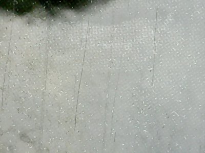 SN33508