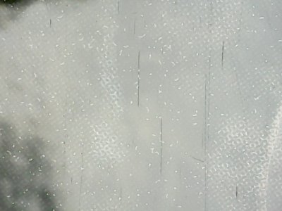 SN33508