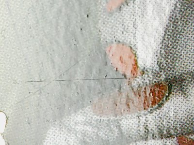 SN33509