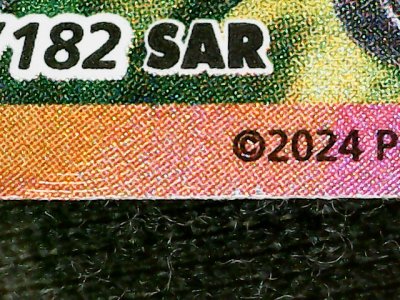 SN33446