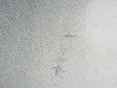 SN33485
