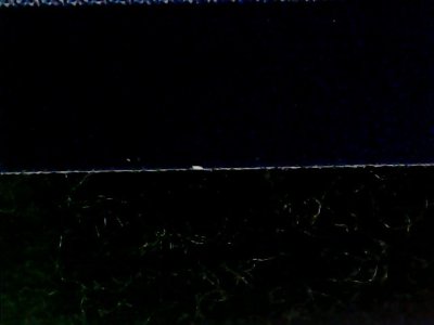 SN33486