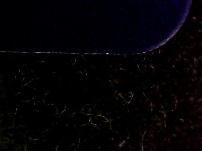 SN33525