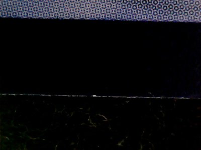 SN33525