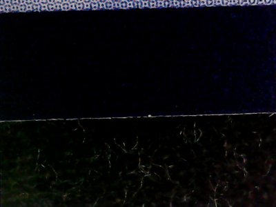 SN33528