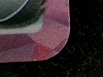 SN33531