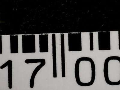 SN33541