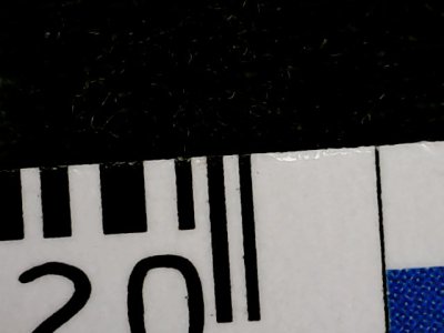 SN33541