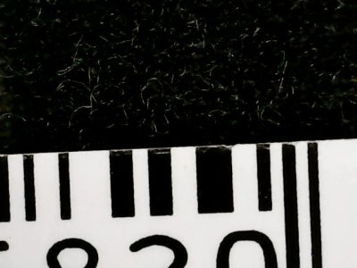 SN33544