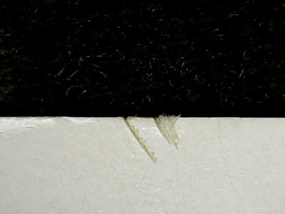 SN33577