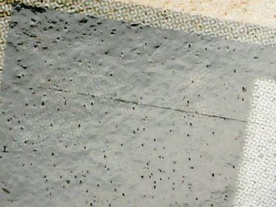 SN33578