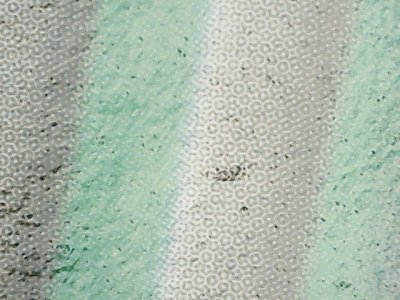 SN33579
