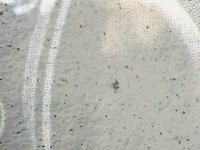 SN33579