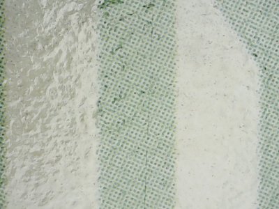SN33579