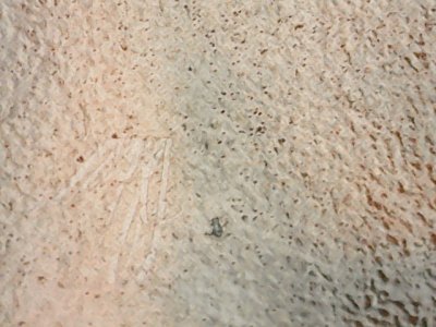 SN33584
