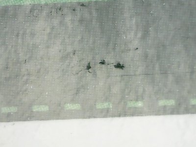 SN33585