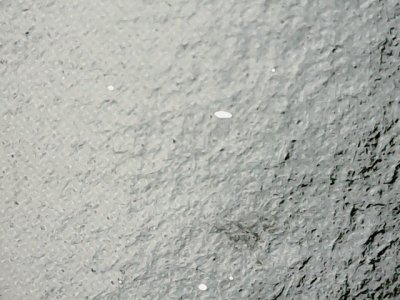 SN33592
