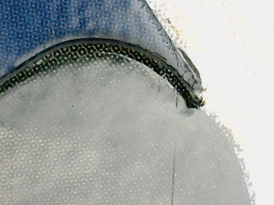 SN33593