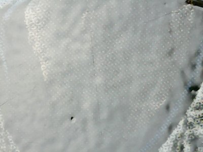 SN33597