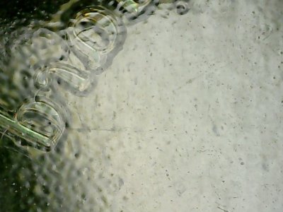 SN33597