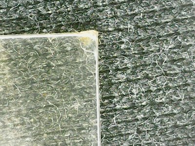 SN33597