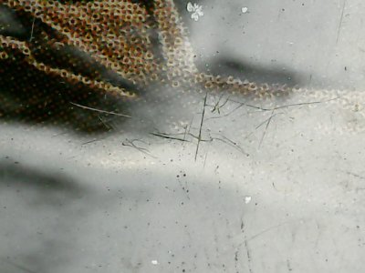 SN33598