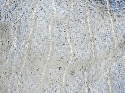 SN33599