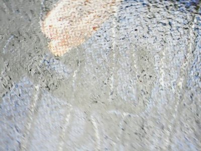 SN33599