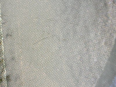 SN33601