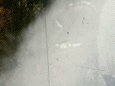 SN33601