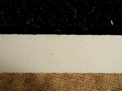 SN33602