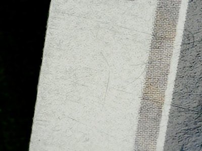 SN33604