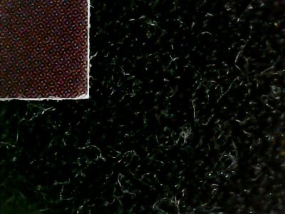 SN33605